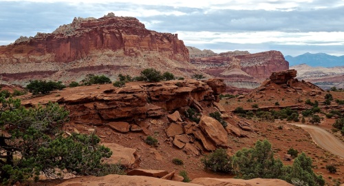 Turn in any direction in any part of Capitol Reef National Park for a beautiful view.